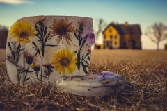 Carla-Roth_Broken-Ice_Feb-2022_Special-Contest-Ice-DIGITAL-Color-Beginner_2nd-Place