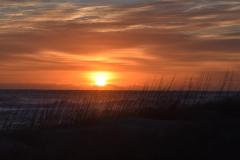 Gene-Nigro_A-New-Day-Dawns_Jan-2022_Open-DIGITAL-Color-Beginner_Award