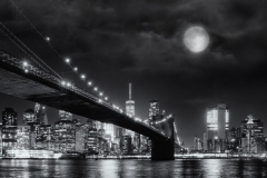 Irina-Shoyhet_Full-Moon-Over-The-Brooklyn-Bridge_November-2021_Bridges_-Mono-Beginner_Award