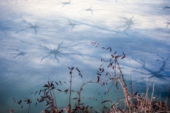 Irina-Shoyhet_Starry-Ice_Feb-2022_Special-Contest-Ice-DIGITAL-Color-Beginner_3rd-Place