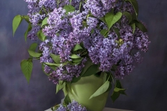 Lilia-Maloratskiy_Lilac-Still-Life-Light-Painted_-April-2022_Open-DIGITAL-Color-Beginner_Award