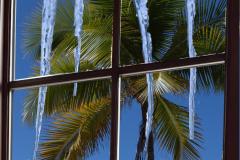 Mannie-Green_Cold-Day-In-Paradise_Feb-2022_Special-Contest-Ice-DIGITAL-Color-Beginner_Award Mannie-Green_Cold-Day-In-Paradise_Feb-2022_Special-Contest-Ice-DIGITAL-Color-Beginner_Award