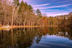 Nader-Boctor_Water-reflection-in-autumn_Jan-2022_Open-DIGITAL-Color-Beginner_Award