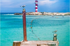 Thomas-Camal_Better-than-winter_Jan-2022_Open-DIGITAL-Color-Beginner_Award