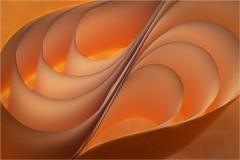 Alan-Bogard_Curves_Sept-2021_Open-DIGITAL-Color-Master_Award