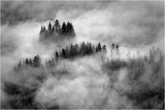 Alan-Bogard_Morning-Mist_Dec-2021_Open-Competition-DIGITAL-Mono-Master_2nd-Place