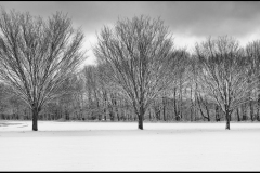 Bob-Dowd_After-the-Storm_Jan-2022_Open-DIGITAL-Mono-Master_Award