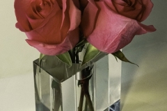 David-Carboy_Three-roses_Oct-2021_Open-Color-Master_Medal