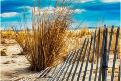 Falling Fence At The Beach 	 Gary-Slawsky_Falling-Fence-At-The-Beach_Oct-2021_Open-Color-Master_Medal