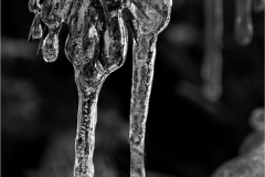 Howard-Wichansky_Frozen_Jan-2022_Open-DIGITAL-Mono-Master_2nd-Place