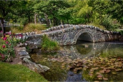 Howard-Wichansky_Queens-Garden-Brisdge_November-2021_Bridges_-Color-Master_Award