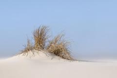 Jerry-Deutsch_Minimalist-Dune-on-a-Windy-Day_-April-2022_Open-DIGITAL-Color-Master_Award