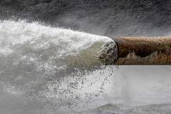 Jerry-Deutsch_Overflow_Oct-2021_Open-Color-Master_Medal