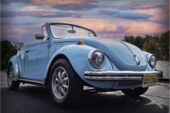 Joel-Goldberg_71-Beetle_Oct-2021_Open-Color-Master_3rd-Place