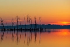 Joel-Goldberg_GOOD-MORNING-MANASQUAN-.._Oct-2021_Open-Color-Master_1st-Place