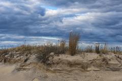 Joel-Goldberg_Shore-Dunes_-April-2022_Open-DIGITAL-Color-Master_Award