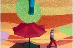 Mark-Schwartz_Colors-in-the-Sun_Dec-2021_Open-Competition-DIGITAL-Color-Master_Medal