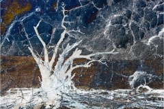 Mark-Schwartz_The-Last-Tree_Jan-2022_Open-DIGITAL-Color-Master_Award