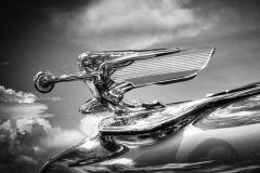 Arnold-Halpern_Antiques-LaSalle-Hood-Ornament_Jan-2022_Open-DIGITAL-Mono-Salon_1st-Place