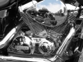 Arnold-Halpern_My-Favorite-Bike_Oct-2021_Open-Color-Salon_Award
