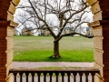 Bob-Kozera_View-of-the-Tree_Oct-2021_Open-Color-Salon_Award