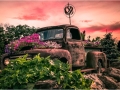 Henry-Hernandez_Apocalypse-Now...The-End_Oct-2021_Open-Color-Salon_1st-Place