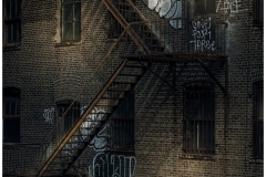 Henry-Hernandez_The-Urban-Jungle_-April-2022_Open-DIGITAL-Color-Salon_Award