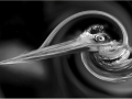 Herbert-Zaifert_Eye-on-you_Dec-2021_Open-Competition-DIGITAL-Mono-Salon_3rd-Place