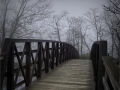 Herbert-Zaifert_Walkover-the-Bridge_November-2021_Bridges_-Color-Salon_Award