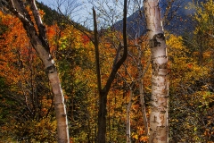 John-Sandstedt_Standing-Out_Jan-2022_Open-DIGITAL-Color-Salon_Award