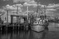 Lorenzo-Ventura_Belford-fishing-port._Jan-2022_Open-DIGITAL-Mono-Salon_Award