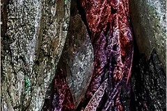 Rich-Despins_Colorfull-Textures_May-2022_Closeup-Macro-DIGITAL-Color-Salon_Medal