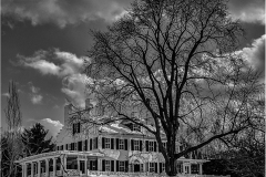 Rich-Despins_Majastic-Winter-Tree_-April-2022_Open-DIGITAL-Mono-Salon_Award