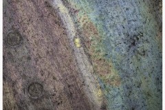 Rich-Doerr_Weathered-Metal_May-2022_Closeup-Macro-DIGITAL-Color-Salon_3rd-Place