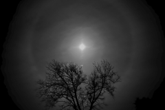 Chris-West-Halo-Moon-April-2023-Digital-Mono-Advanced-Award