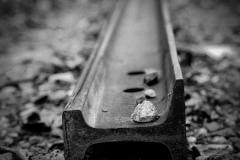 Cindy-Mirabella-Rail_Nov-2022-Special-Rust-Digital-Mono-Advanced-Second-Place