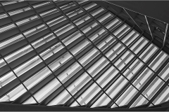 Ira-Brodsky-Windowed-Roof-Feb-2023-Digital-Mono-Advanced-Award