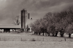 Larry-Ross-Down-on-the-Farm-May-2023-Digital-Mono-Advanced-Award