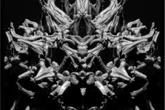 Martin-Sicular-Sweetgum-Ball-Symmetry-Dec-2022-Digital-Mono-Advanced-Second-Place