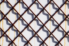 Thomas-Camal-Chain-link-fence-shadows-OCT-2022-Digital-Color-Advanced-Award