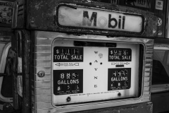 Carla-Roth-Total-Sale_Nov-2022-Special-Rust-Digital-Mono-Beginner-Award