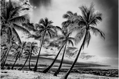 Mannie-Green-Solar-Flare-Sep-2022-Digital-Mono-Beginner-First-Place