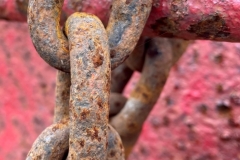 Richard-Eichel-rusty-chain_Nov-2022-Special-Rust-Digital-Color-Beginner-Award