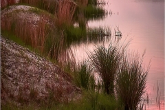 Alan-Bogard-Bog-Sunset-May-2023-Digital-Color-Master-Medal