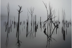 Bob-Dowd-Reflections-In-The-Fog-May-2023-Digital-Mono-Master-2nd-Place