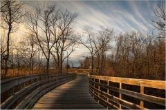 David-Carboy-Great-Place-To-Walk-copy-Sep-2022-Digital-Color-Master-Award