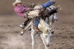 Jerry-Deutsch-Flying-Stirrups-and-Legs-Dec-2022-Digital-Color-Master-First-Place