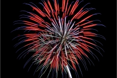 Jerry-Deutsch-Dandelion-Sep-2022-Digital-Color-Master-Award