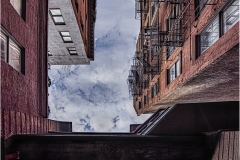 Rich-Despins-Odd-View-Sep-2022-Digital-Color-Master-Medal