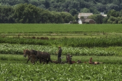 Lorenzo-M.-Ventura-Working-the-old-fashion-way.-OCT-2022-Digital-Color-Salon-Medal